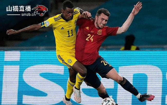 西班牙VS瑞典，西班牙VS瑞典这场比赛总共掏了多少张黄牌？