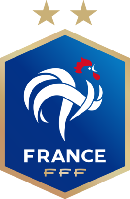 法国足球队，法国足球队黑人比例？