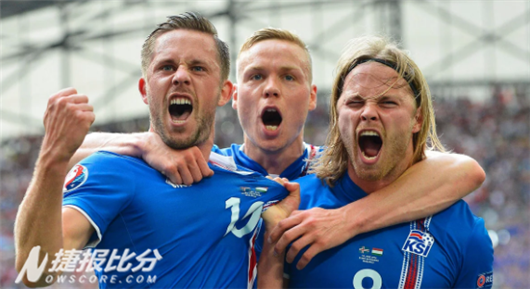 冰岛队，冰岛队队员真的是业余的吗？