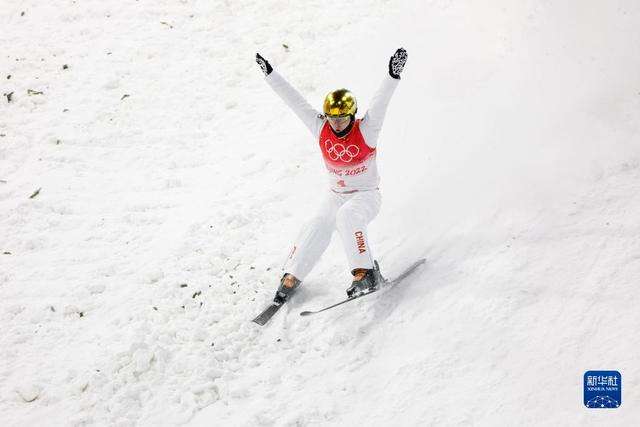 自由式滑雪空中技巧，2006都灵冬奥会自由式滑雪空中技巧？