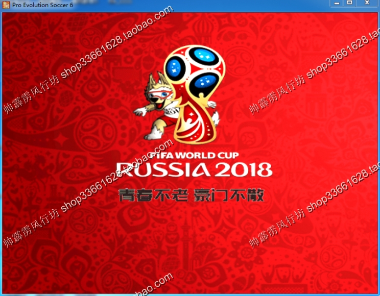 关于俄罗斯世界杯门票的信息