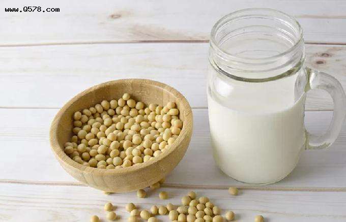 豆浆可不可以替代牛奶的简单介绍